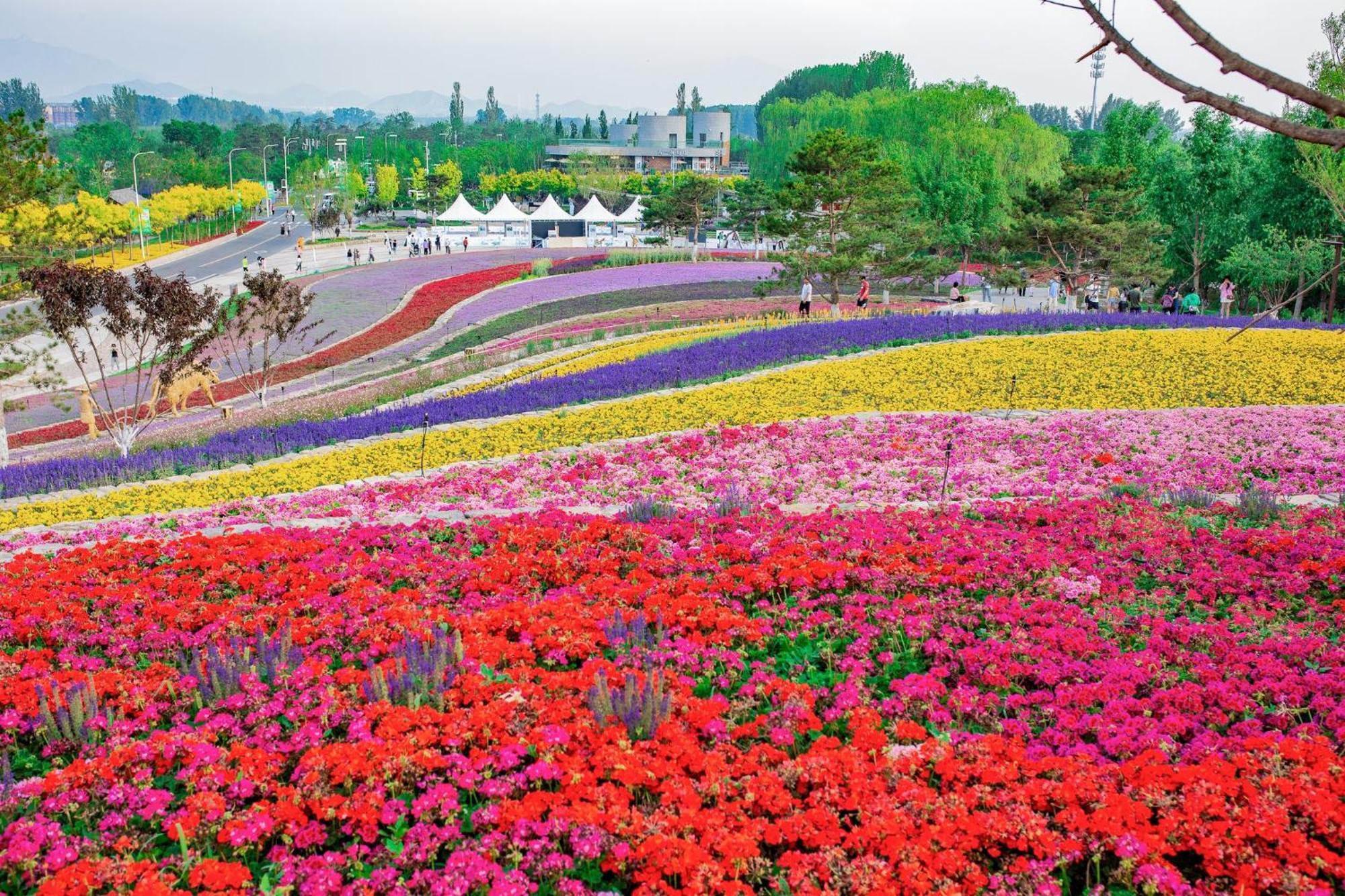 Crowne Plaza Beijing Badaling By Ihg Hotell Yanqing Exteriör bild